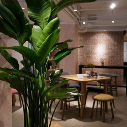 Image of Hong Kong serviced office