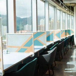 Sha Tin executive office